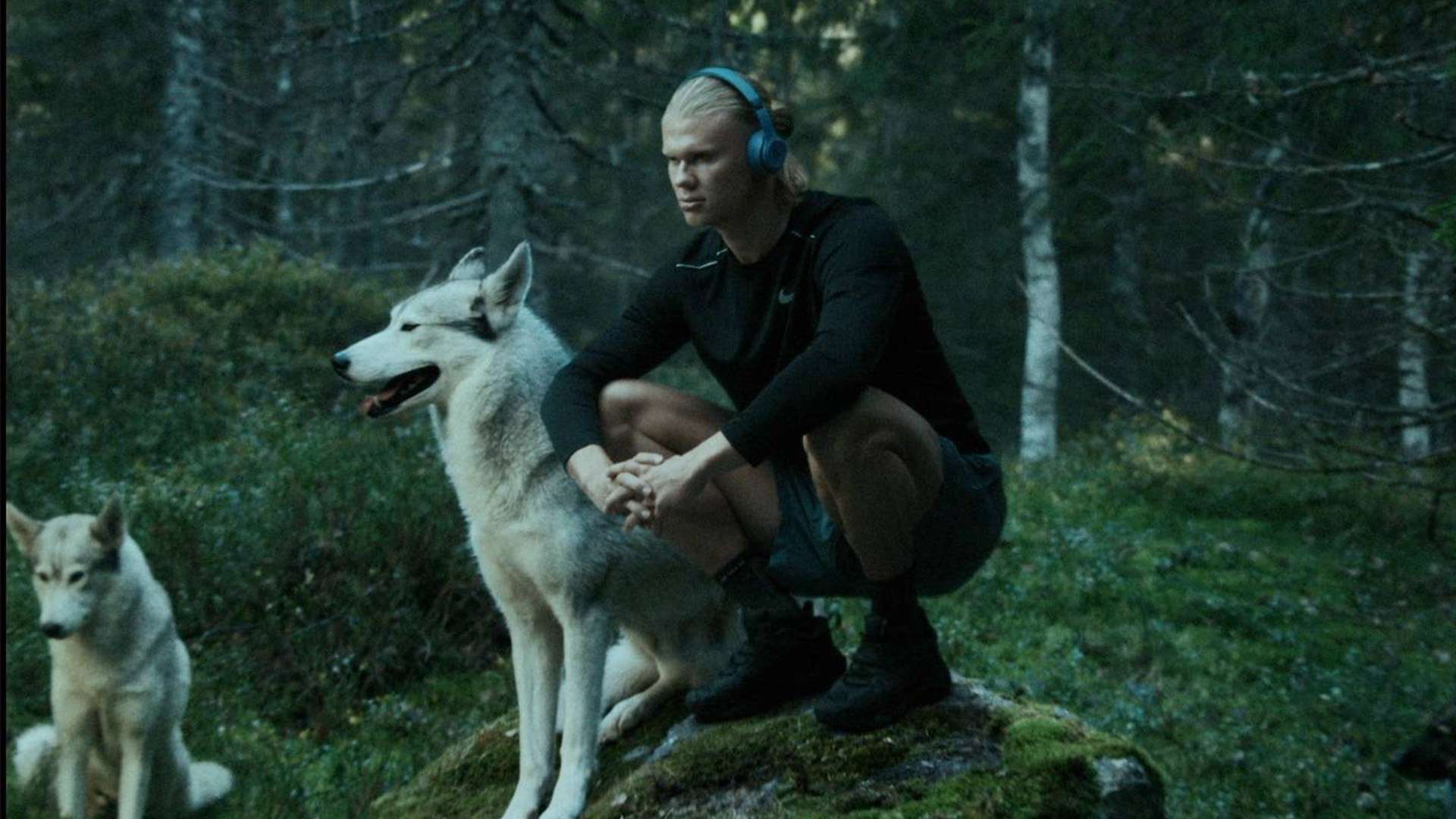 作为国家足 作为国家足